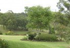 Callala Bayresidential-landscaping-40.jpg; ?>